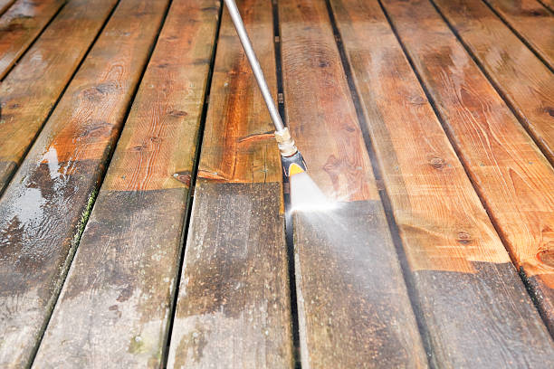 Best Roof Pressure Washing  in Alton, IL