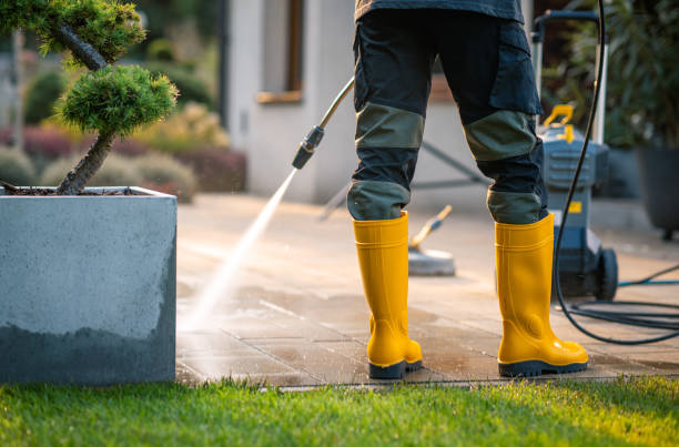 Best Deck Cleaning Services  in Alton, IL